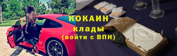 тгк Майский