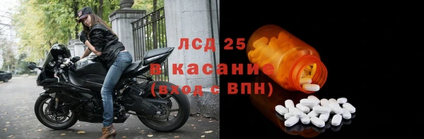 эйфоретик Магас