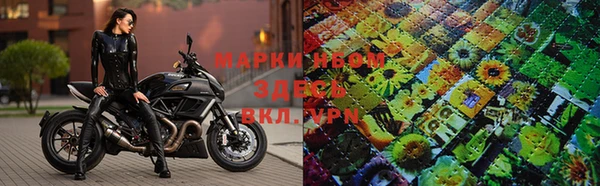 эйфоретик Магас