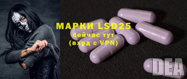 эйфоретик Магас