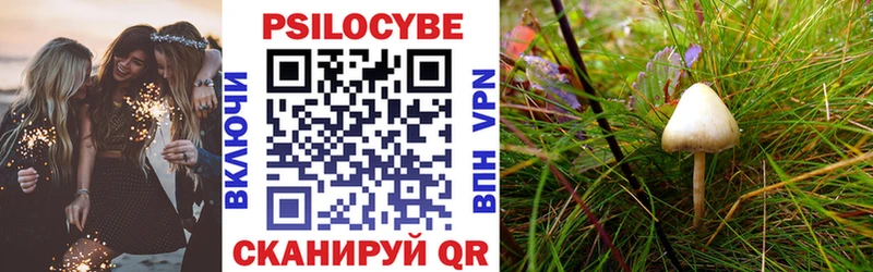 Купить  Новоульяновск  Псилоцибиновые грибы Magic Shrooms 